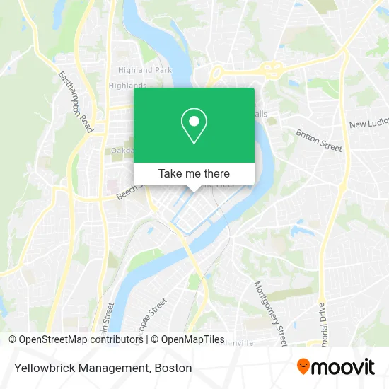 Yellowbrick Management map