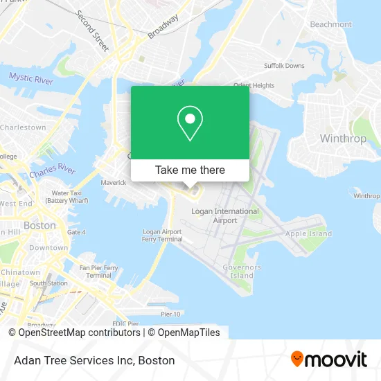 Adan Tree Services Inc map