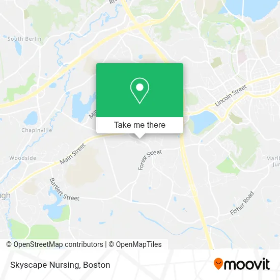 Skyscape Nursing map