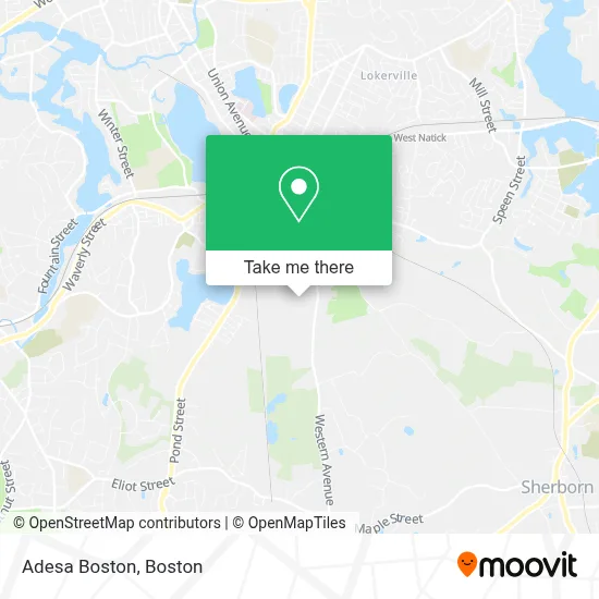 Adesa Boston map