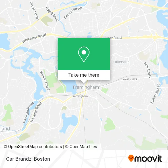 Car Brandz map