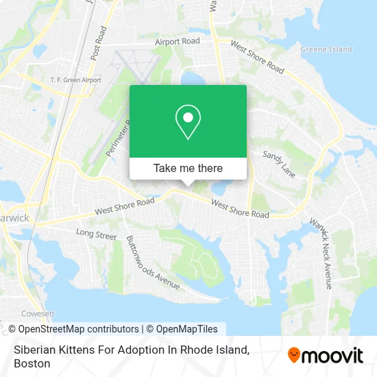 Siberian Kittens For Adoption In Rhode Island map