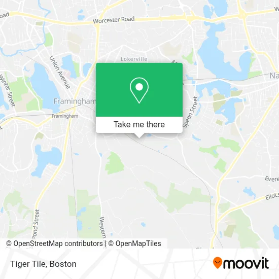 Tiger Tile map