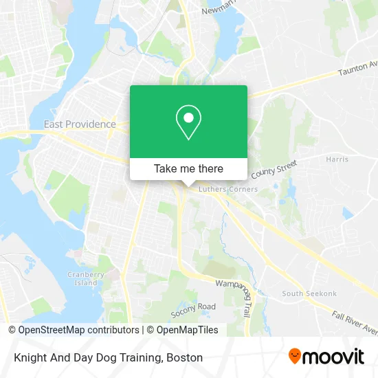Knight And Day Dog Training map