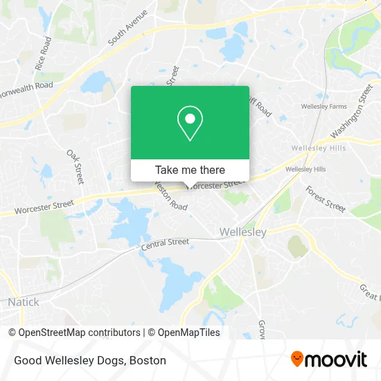 Good Wellesley Dogs map