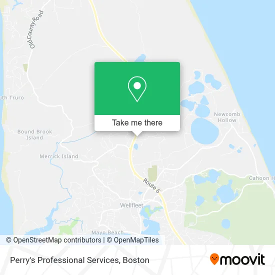 Perry's Professional Services map