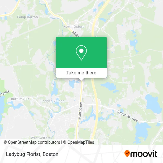 Ladybug Florist map