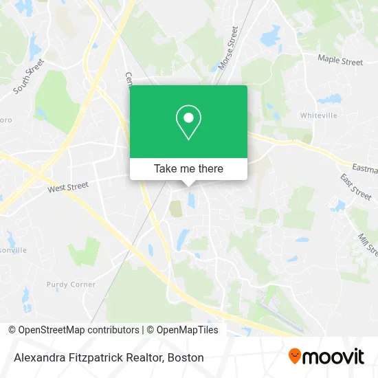 Alexandra Fitzpatrick Realtor map