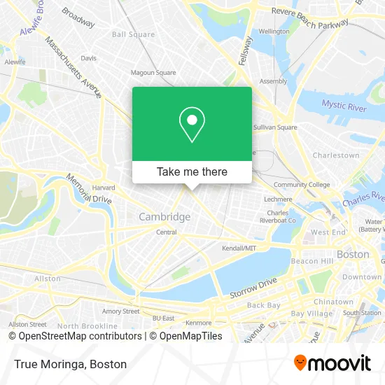 True Moringa map