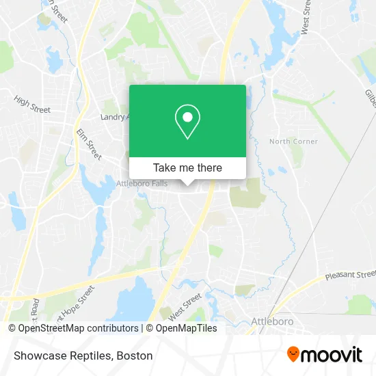Showcase Reptiles map
