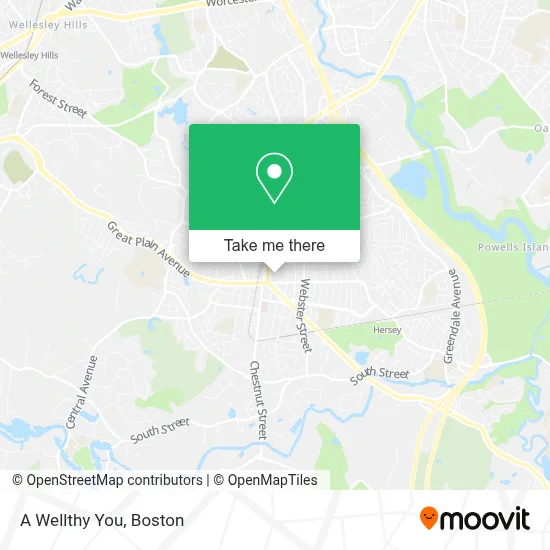 A Wellthy You map