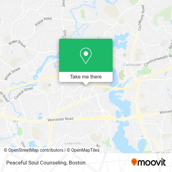 Peaceful Soul Counseling map