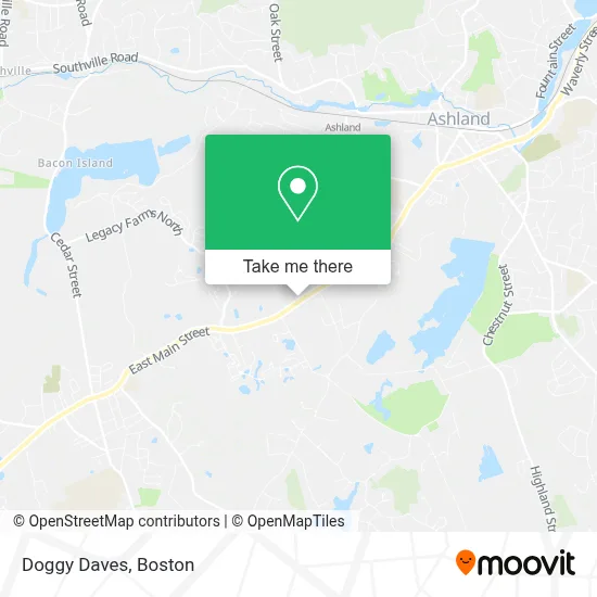 Doggy Daves map