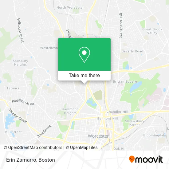 Erin Zamarro map