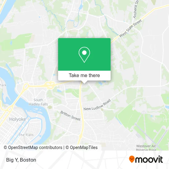 Big Y map