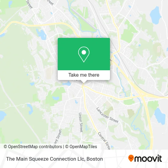 The Main Squeeze Connection Llc map
