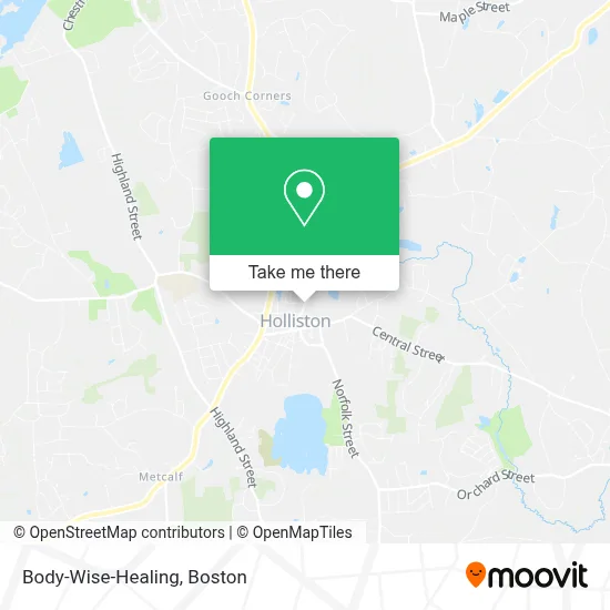 Body-Wise-Healing map