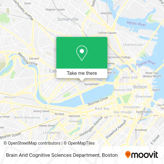 Brain And Cognitive Sciences Department map