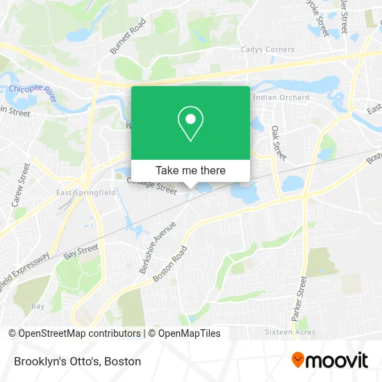 Brooklyn's Otto's map