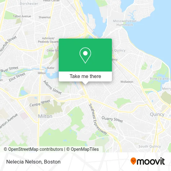 Nelecia Nelson map