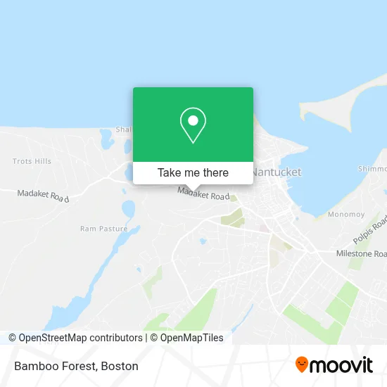 Bamboo Forest map