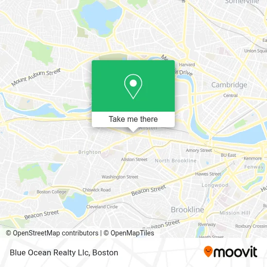 Blue Ocean Realty Llc map