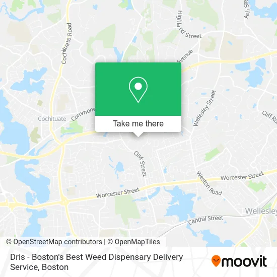 Dris - Boston's Best Weed Dispensary Delivery Service map