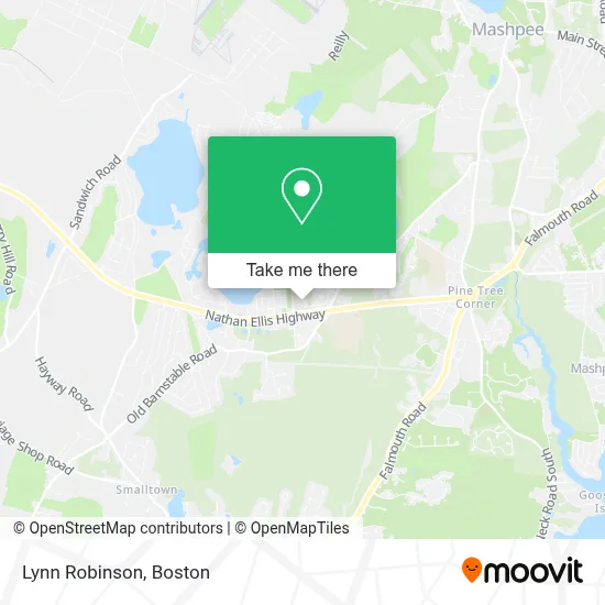 Lynn Robinson map