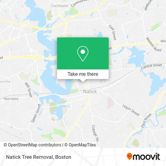 Natick Tree Removal map