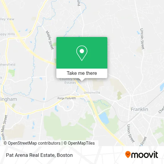 Pat Arena Real Estate map