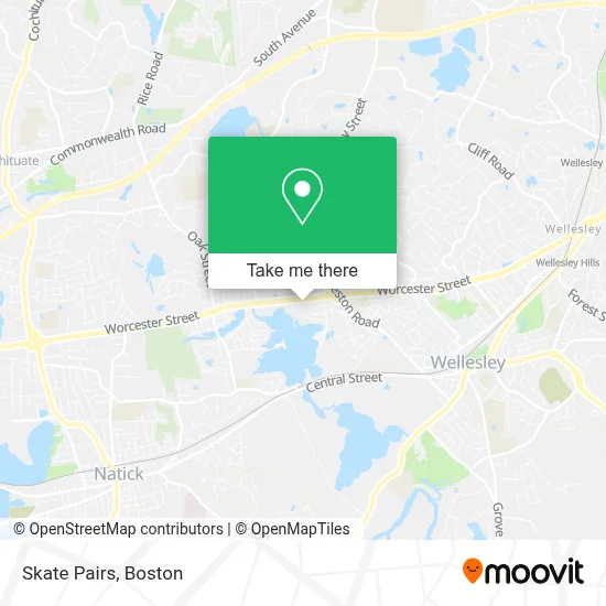 Skate Pairs map