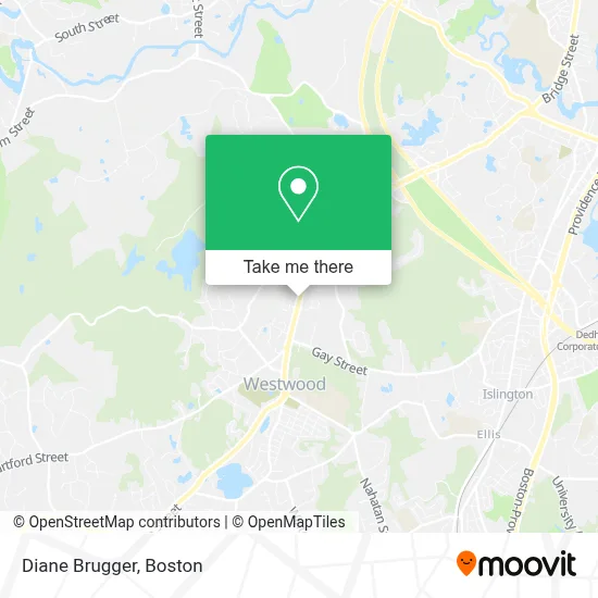 Diane Brugger map