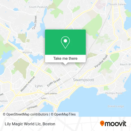 Lily Magic World Llc map