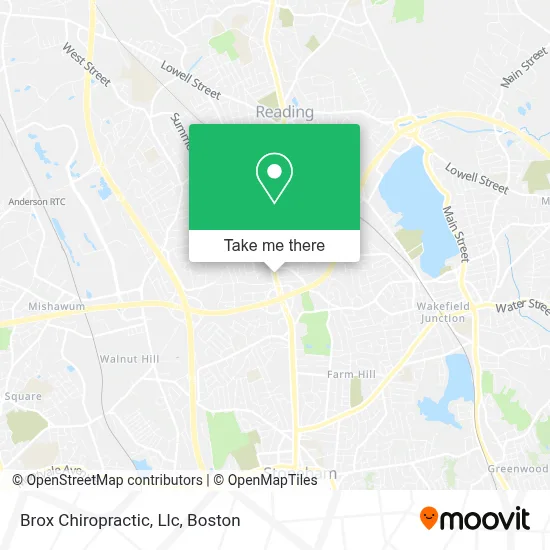Brox Chiropractic, Llc map