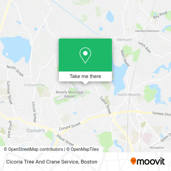 Cicoria Tree And Crane Service map