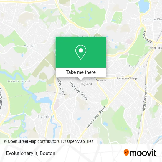 Evolutionary It map