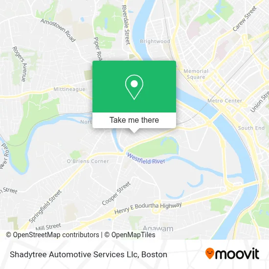 Shadytree Automotive Services Llc map