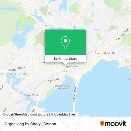 Organizing by Cheryl map
