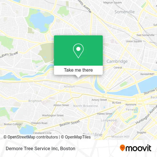 Demore Tree Service Inc map