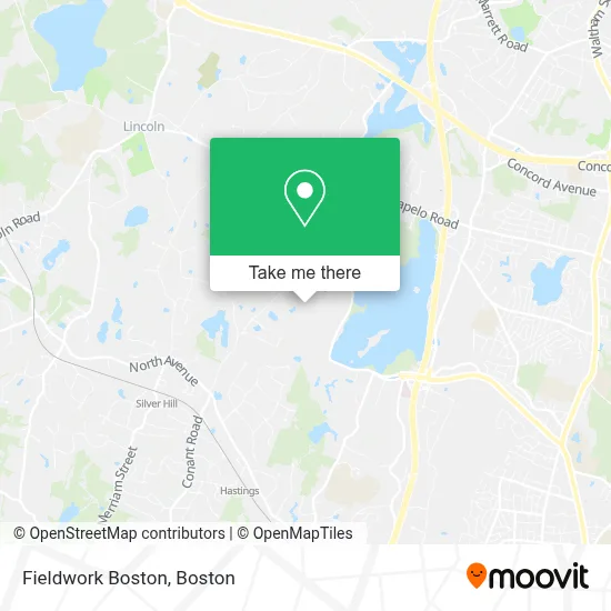 Fieldwork Boston map