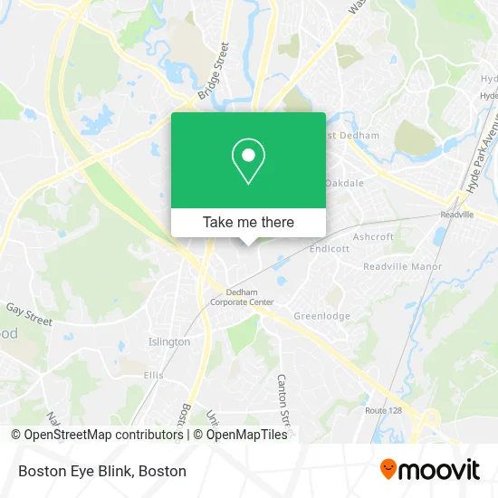 Boston Eye Blink map