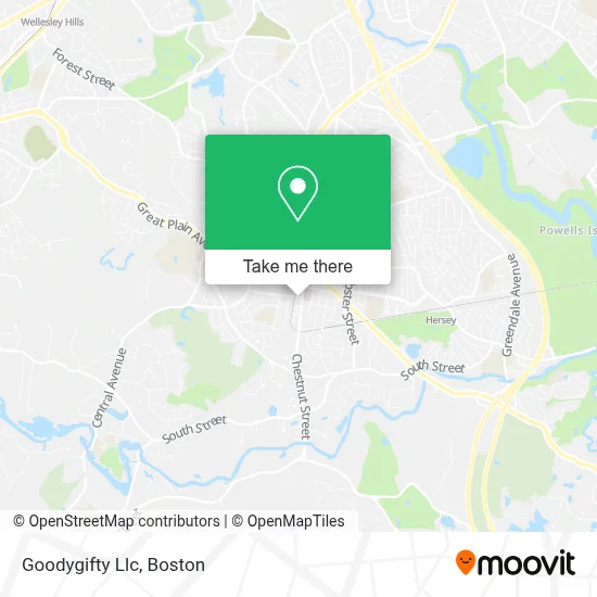 Goodygifty Llc map