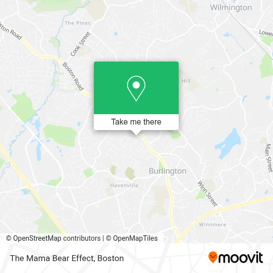 The Mama Bear Effect map