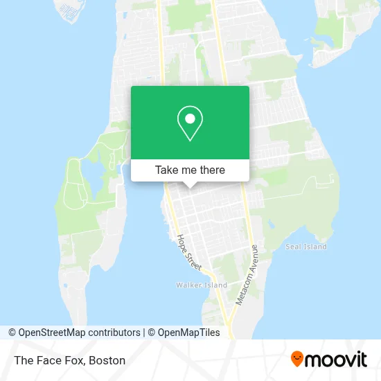 The Face Fox map