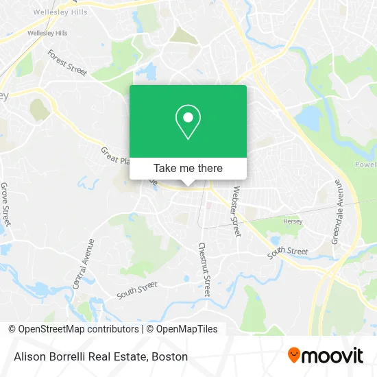 Alison Borrelli Real Estate map