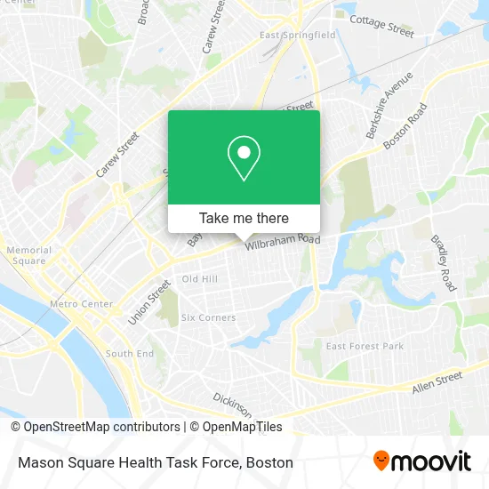 Mason Square Health Task Force map