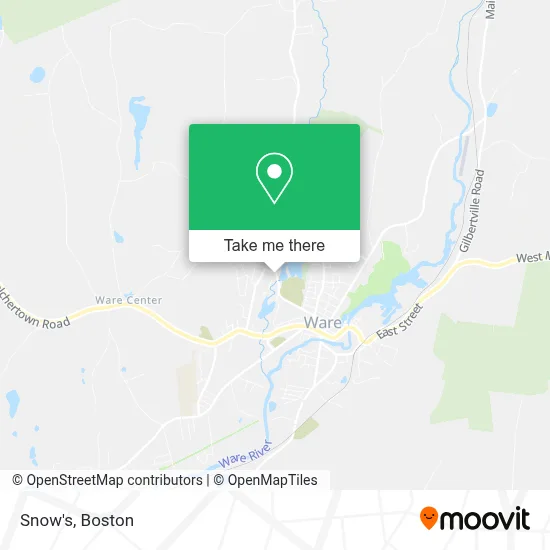 Snow's map