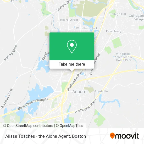 Alissa Tosches - the Aloha Agent map