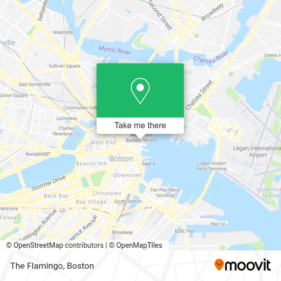 The Flamingo map
