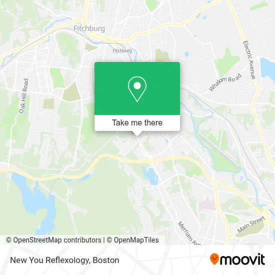 New You Reflexology map